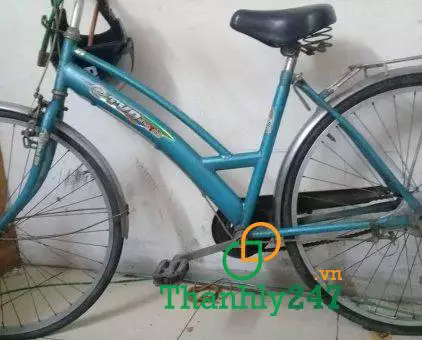 Thong Nhat bicycle liquidation price 500k
