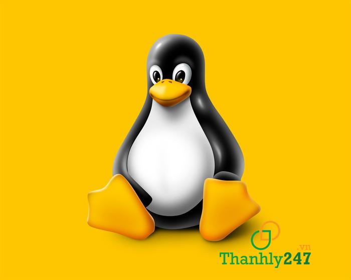 Những lý do nên lựa chọn máy chủ Linux
