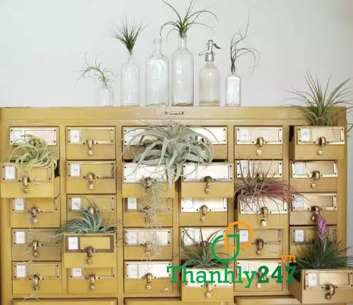 Ngăn kéo của cánh tủ cũ có thể tái chế làm gì được nhỉ?