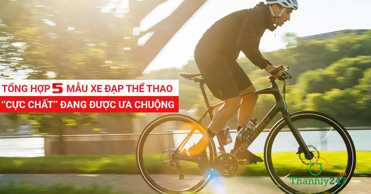 Các loại xe đạp thể thao giá rẻ