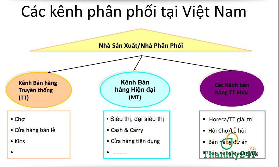 Hệ thống hoạt động của nhà phân phối hàng hóa tiêu dùng
