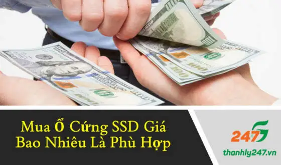 Mua Ổ Cứng SSD Giá Bao Nhiêu Là Phù Hợp